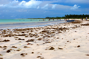 Image showing Sand of crystalline green sea in Alagoas, Brazil