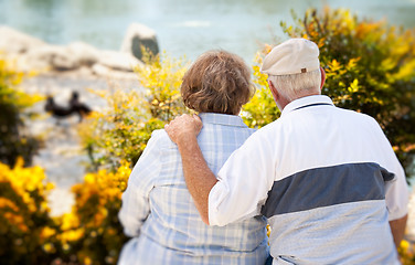 Image showing Happy Senior Couple in The Park