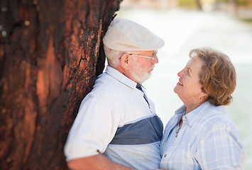 Image showing Happy Senior Couple in The Park