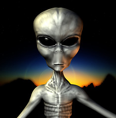 Image showing Grey Alien