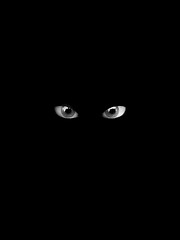 Image showing Scary Eyes