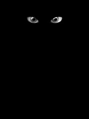 Image showing Scary Eyes