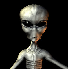 Image showing Grey Alien