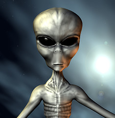 Image showing Grey Alien