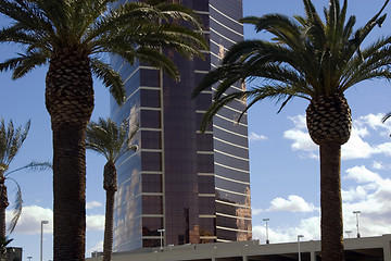 Image showing Mirrored Business Building in a Tropical Area