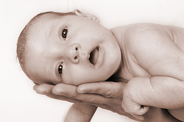 Image showing Newborn Baby
