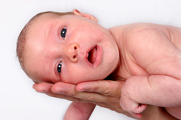 Image showing Newborn Baby