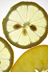 Image showing Sliced Lemon and Apple isolated on white