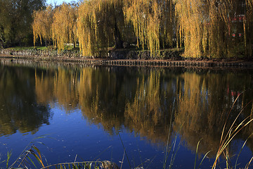 Image showing Small Lake with Trees in Autumn