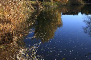 Image showing Small Lake with Trees in Autumn