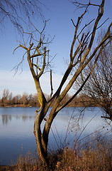 Image showing Small Lake with Trees in Autumn