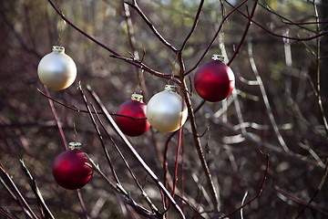 Image showing Christmas balls