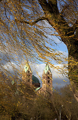 Image showing Tree in autumn colors at Speyer