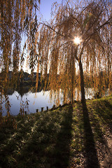 Image showing Small Lake with Trees in Autumn