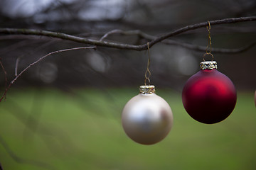 Image showing Christmas balls