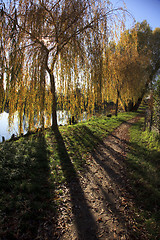 Image showing Small Lake with Trees in Autumn