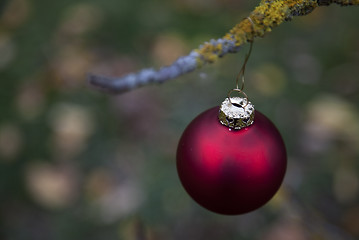 Image showing Christmas balls