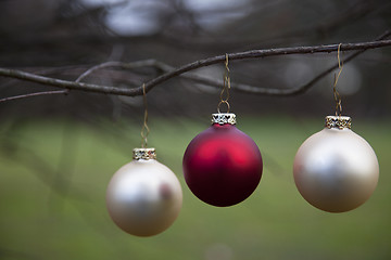 Image showing Christmas balls