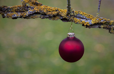 Image showing Christmas balls