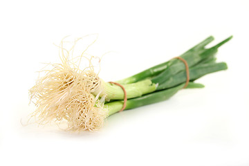Image showing Spring onions