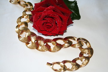 Image showing Red  rose and necklace