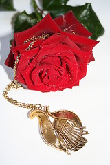 Image showing Red  rose and necklace