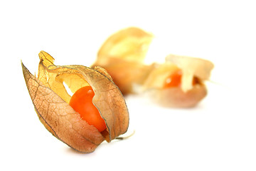 Image showing Physalis