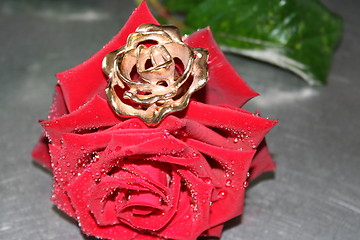 Image showing Two roses