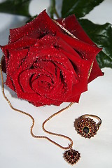 Image showing Ring and necklace with red stones