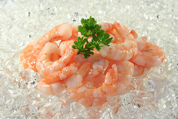 Image showing Shrimps