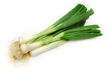 Image showing Spring onion