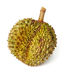 Image showing Durian. Giant Tropical Fruit.