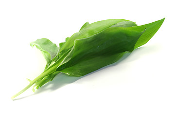 Image showing Wild Garlic