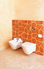 Image showing Giraffe toilet