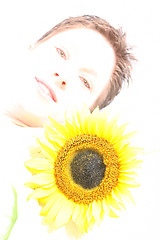 Image showing Face od a Sunflower