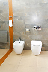 Image showing Marble toilet