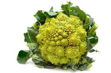 Image showing Fractal Romanesco cabbage