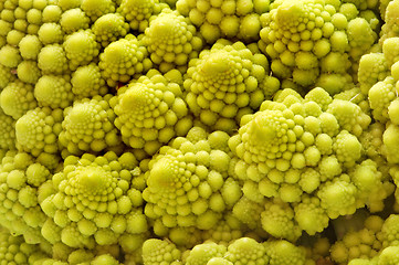 Image showing Fractal Romanesco cabbage