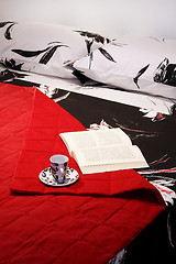 Image showing Reading in bed