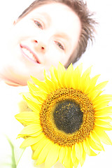 Image showing Face od a Sunflower