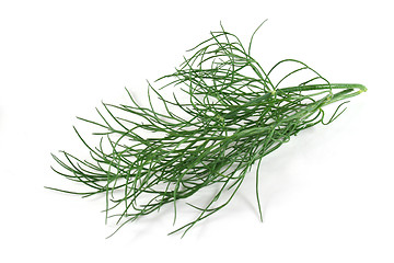 Image showing Dill