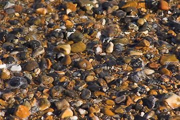 Image showing Beach pebbles