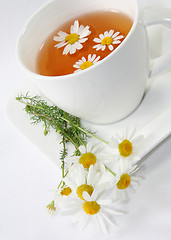 Image showing Chamomile tea