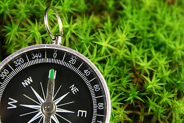 Image showing Compass in the moss