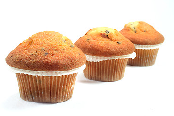 Image showing Muffins with chocolate chips