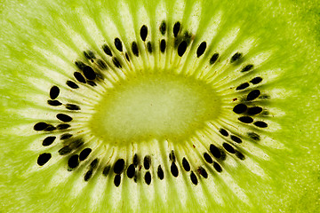 Image showing Sliced Kiwifruit isolated on white