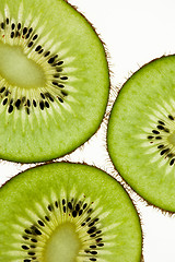 Image showing Sliced Kiwifruit isolated on white