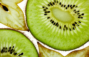 Image showing Sliced Kiwi and Carambola Starfruit isolated on white