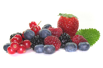 Image showing Berries