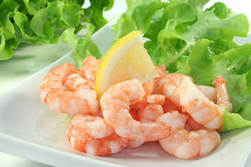 Image showing Shrimps